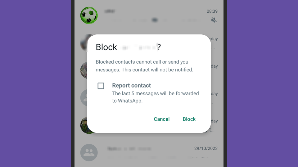 WhatsApp pop up window showing the blocking options for users.