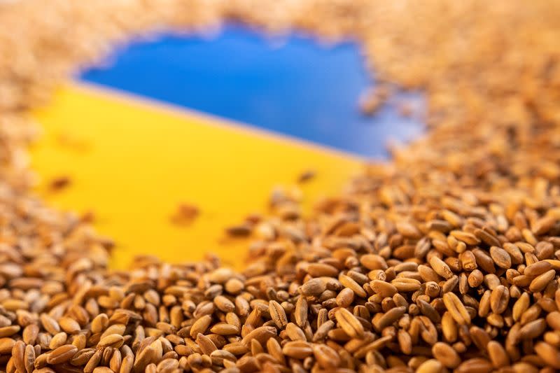 Illustration shows Ukrainian flag and grain