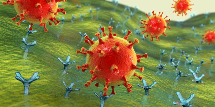 SARS-CoV-2 binding with ACE2 on the surface of a cell