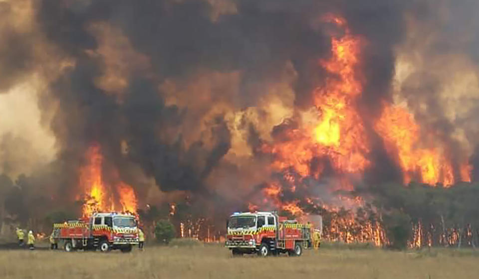 A photo of NSW firefighters fight huge blaze.