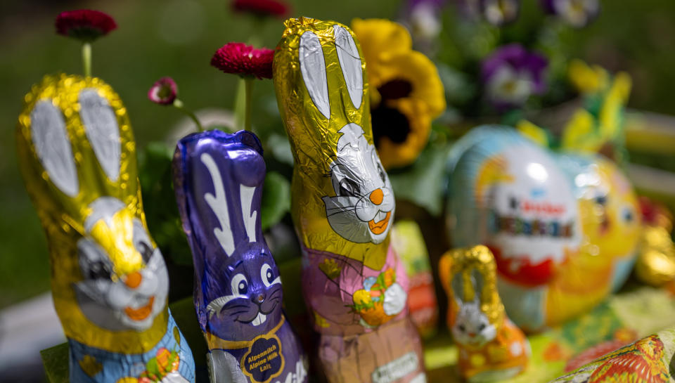 PRODUCTION - 18 March 2024, Berlin: Chocolate Easter bunnies stand in a garden next to blooming daisies in sunny weather. Photo: Monika Skolimowska/dpa (Photo by Monika Skolimowska/picture alliance via Getty Images)