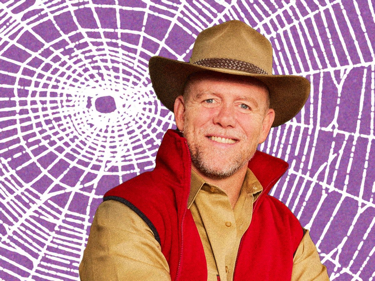 ‘There’s a s***load of spiders’: Mike Tindall survived an arachnid attack on Sunday’s ‘I’m a Celeb’ through sheer brain power (iStock)