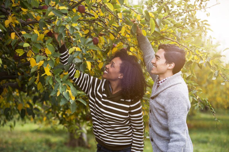 40 Romantic Fall Date Ideas to Plan ASAP