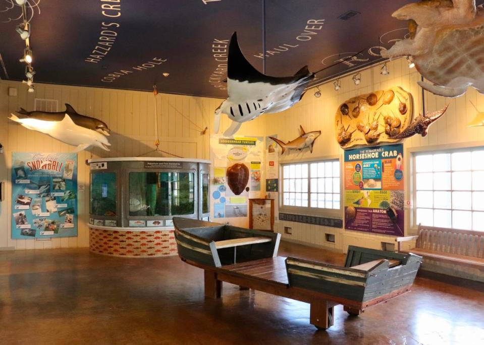  When you visit the Sharon and Dick Stewart Maritime Center on the Chechessee River, you will get to see and experience a view of the diverse wildlife and understand the world of the Port Royal Sound Foundation. 