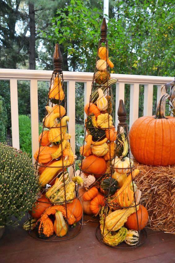 Pumpkin Containers