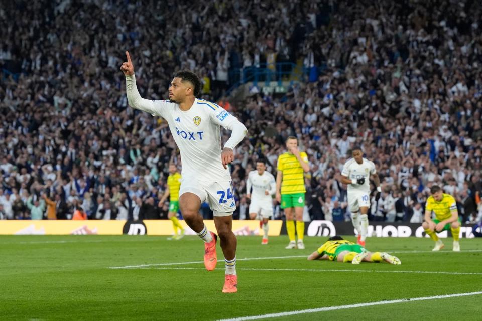 Norwich were beaten 4-0 by Leeds at Elland Road (Danny Lawson/PA Wire)