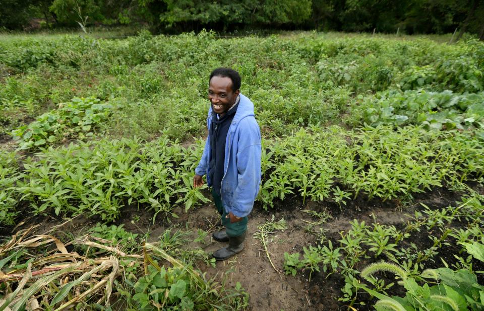 Back in 2014, Alex Congera, originally from Burundi, worked his garden at the Global Greens Farm in West Des Moines.