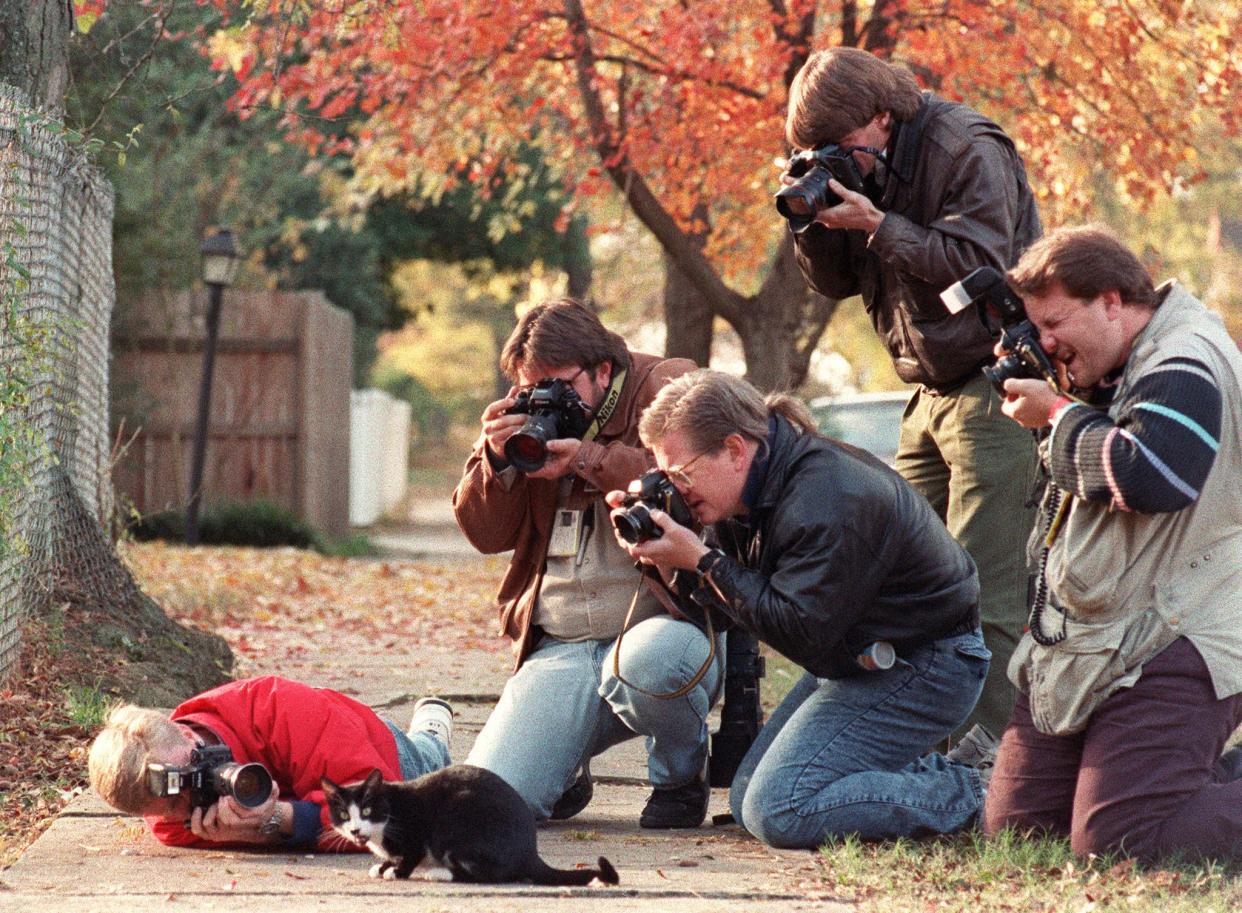 Press photographers surround Socks, the Clinton family cat, November 17, 1992, outside the governor's mansion in Little Rock. (Mike Nelson/AFP via Getty Images)