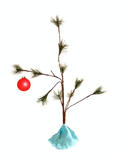 Charlie Brown suggests the tree needs a little love before being called a blockhead. (Shutterstock)