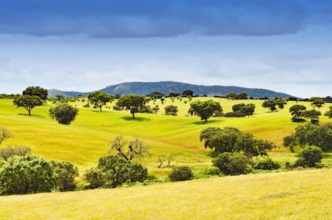 The Alentejo countryside - Credit: ISTOCK