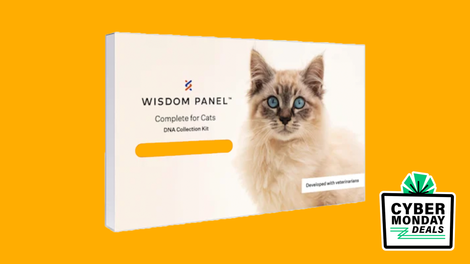 Shop Cyber Monday deals on cat DNA testing kits and pet grooming essentials.