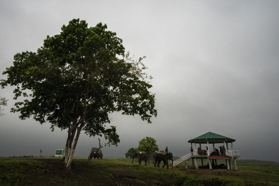 Officers prepare to leave for a census exercise to count one-horned Rhinoceros' in Kaziranga national park, in the northeastern state of Assam, India, Sunday, March 27, 2022. Nearly 400 men using 50 domesticated elephants and drones scanned the park’s 500 square kilometers (190 square miles) territory in March and found the rhinos' numbers increased more than 12%, neutralizing a severe threat to the animals from poaching gangs and monsoon flooding. (AP Photo/Anupam Nath)