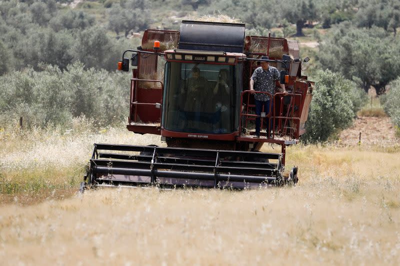 Influencer chefs showcase sustainable Palestinian farming on culinary tour