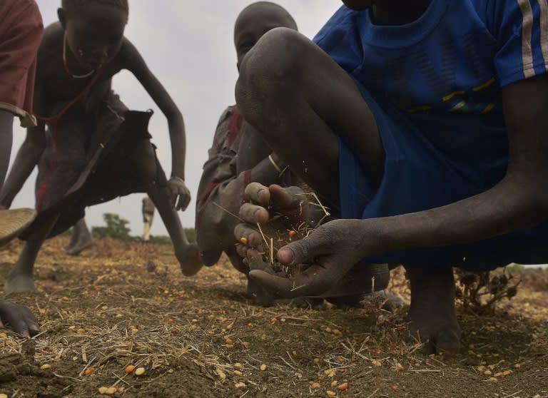 Children gather grain spilled from bags busted open following a food-drop on February 24, 2015 at a village in Nyal, Panyijar county, near the northern border with Sudan