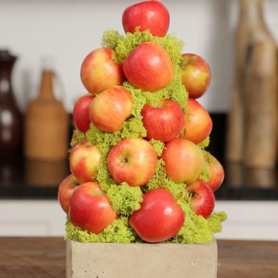 Apple Topiary