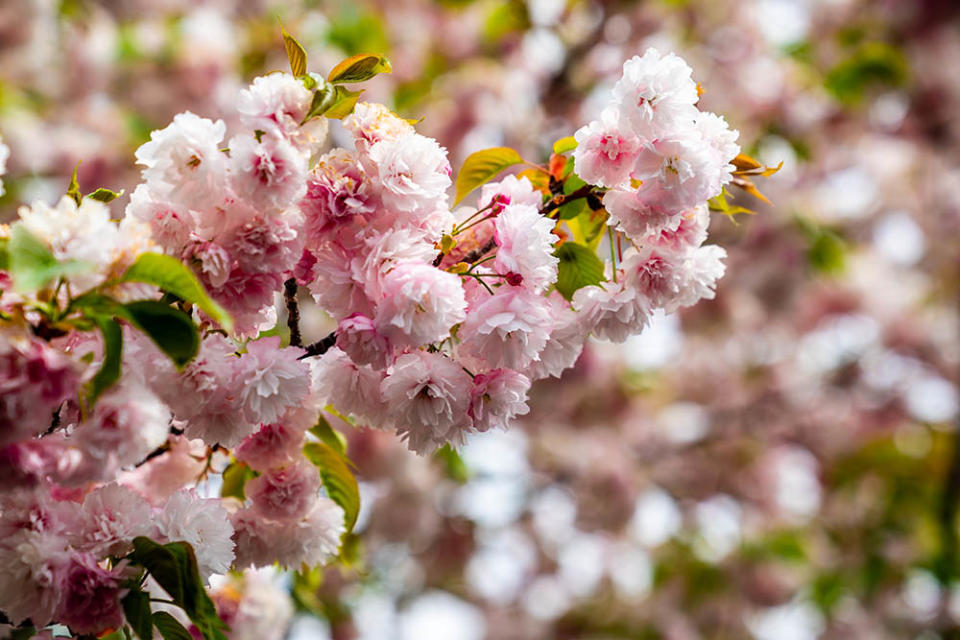 造幣局（Image Source : Getty Creative/iStockphoto）