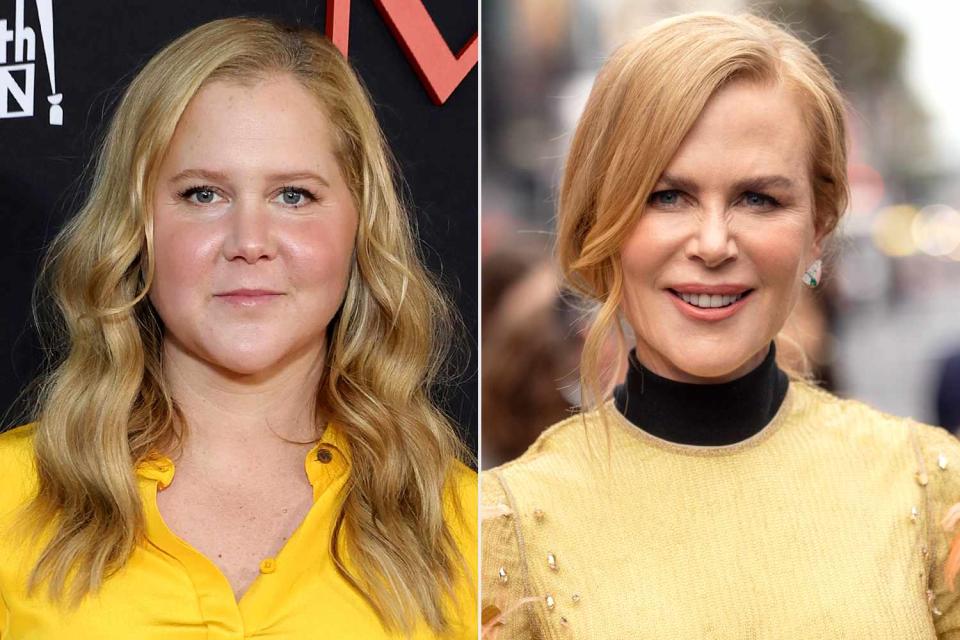 <p>Amy Sussman/Getty; Emma McIntyre/WireImage</p> Amy Schumer and Nicole Kidman