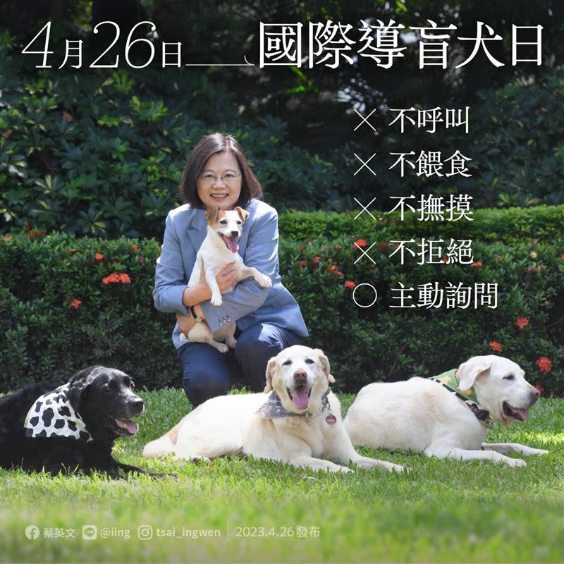 今（26）日是國際導盲犬日，蔡英文總統也在臉書曬出，她所收養的三隻退役的導盲犬Bella、Bunny和Maru，另外，蔡英文手上抱著是退役搜救犬樂樂。（圖／翻攝蔡英文臉書）