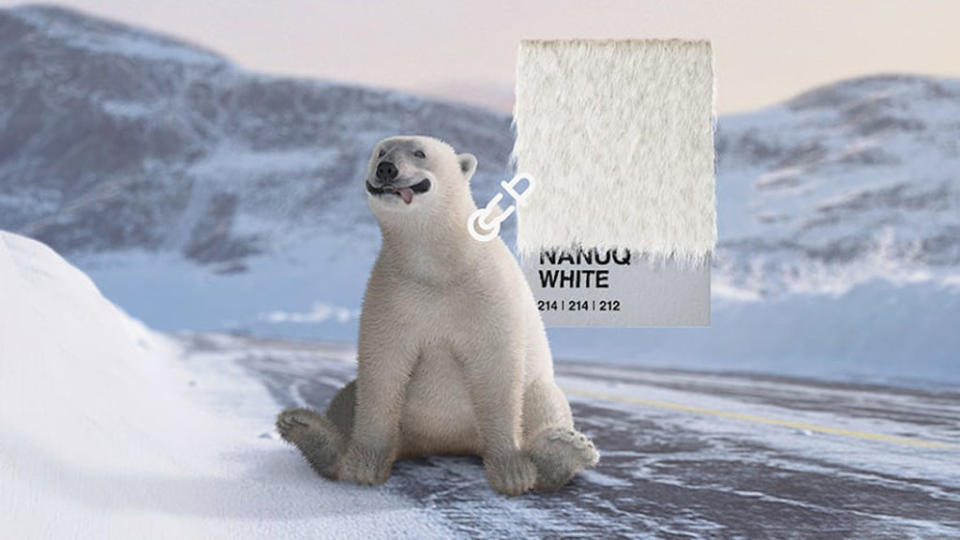 11月入主電咪或向Polar Bears International捐贈40美元即可獲一個Nanuq點頭公仔和一張感謝卡。(圖片來源/ Mini)