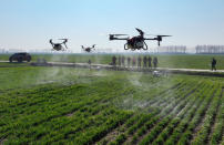 Drones are being used for all kinds of things these days. And in Lixin County, Bozhou City, Anhui Province of China, unmanned flying robots are being used to spread pesticides over wheat.