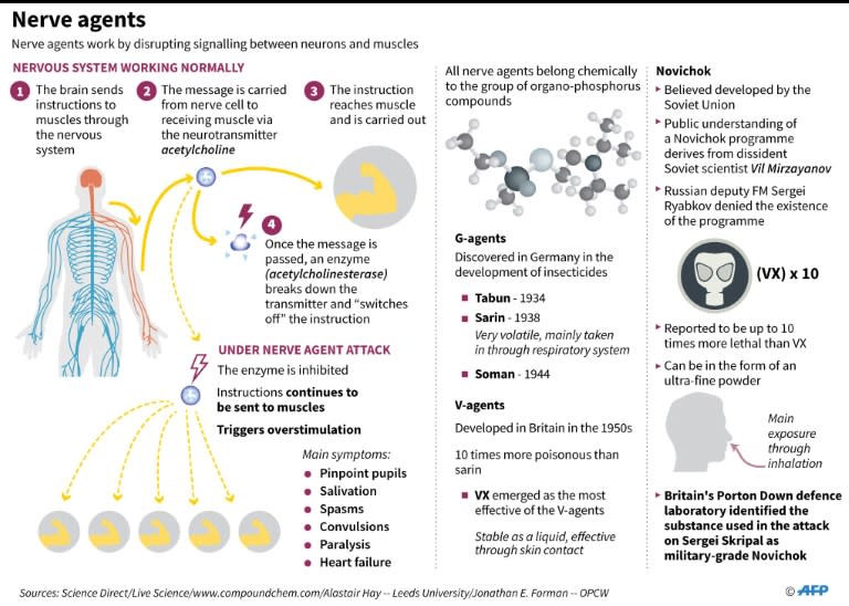 A factfile on nerve agents and what we know about Novichok