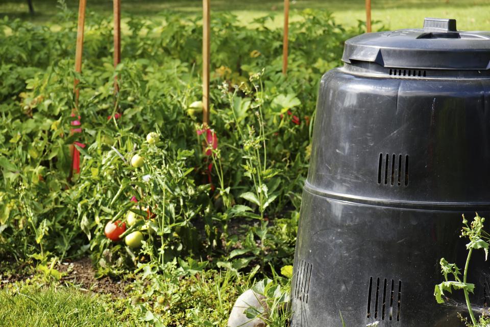 Compost can be used when planting or tilling, or as a mulch.