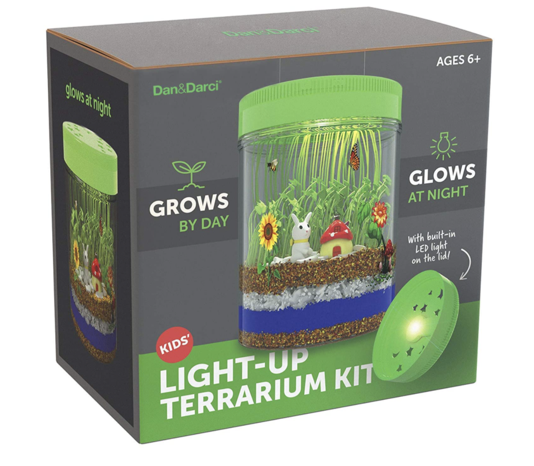 Light-Up Terrarium Kit for Kids