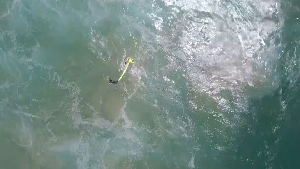 The pod inflates, the swimmers grab onto it, and the drone guides them back to shore. Source: SLSNSW/Little Ripper Group/NSW DPI