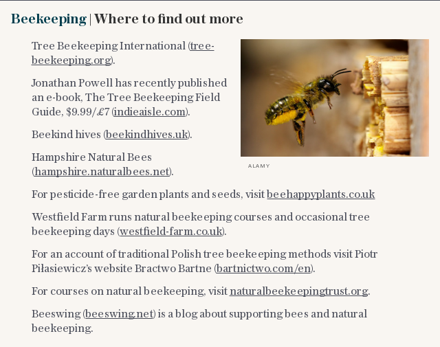 Beekeeping | Where to find out more