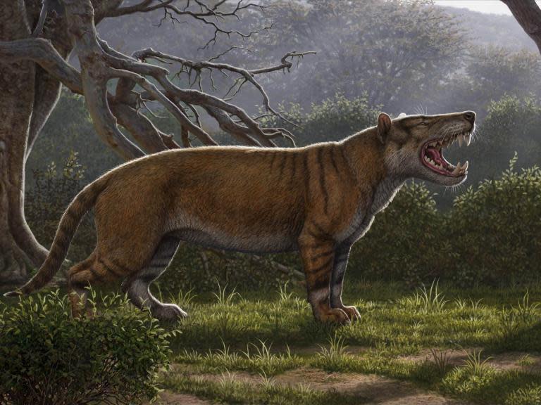 Fossils of massive ‘lion’ larger than a polar bear discovered in Kenya