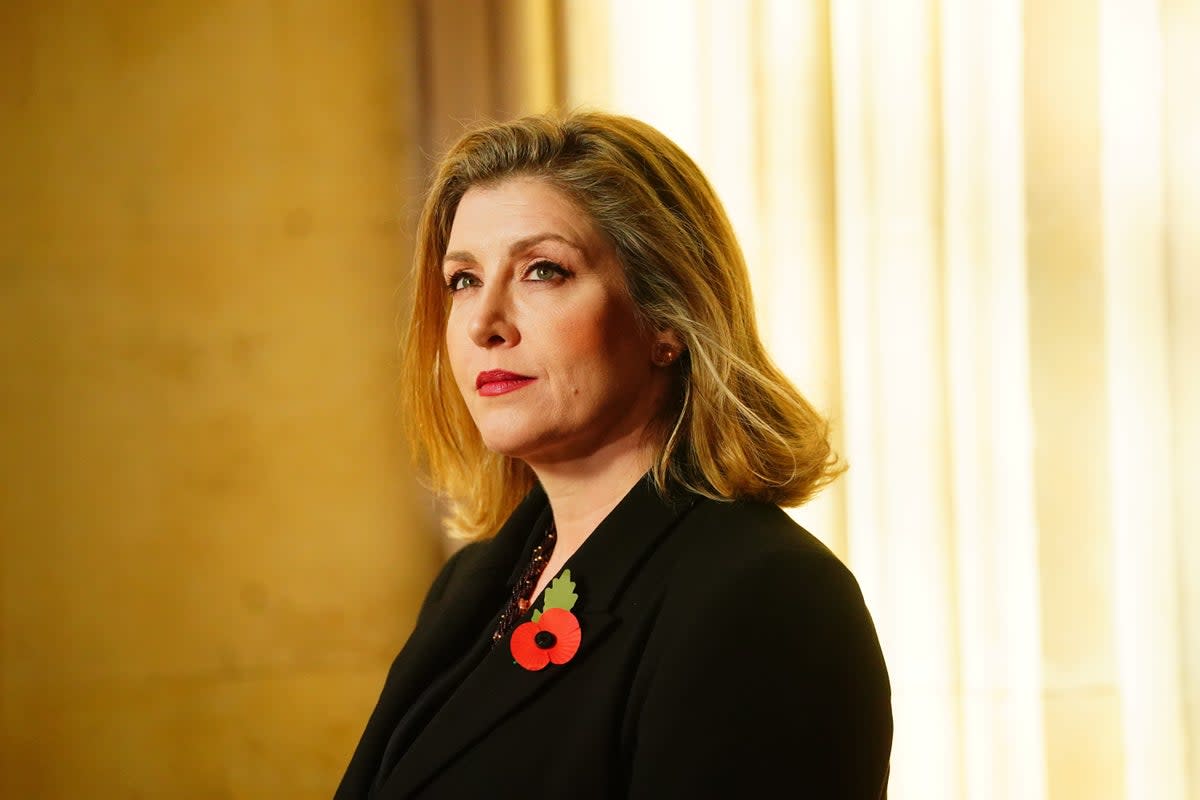 Penny Mordaunt has been circling Rishi Sunak as a would-be leader of the Conservative Party (PA Wire)