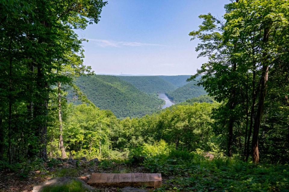 A view of the West Branch Susquehanna River from the end of Yost Ridge Road in Sproul State Forest on Monday, June 17, 2024. The river is the county line between Centre and Clinton counties.