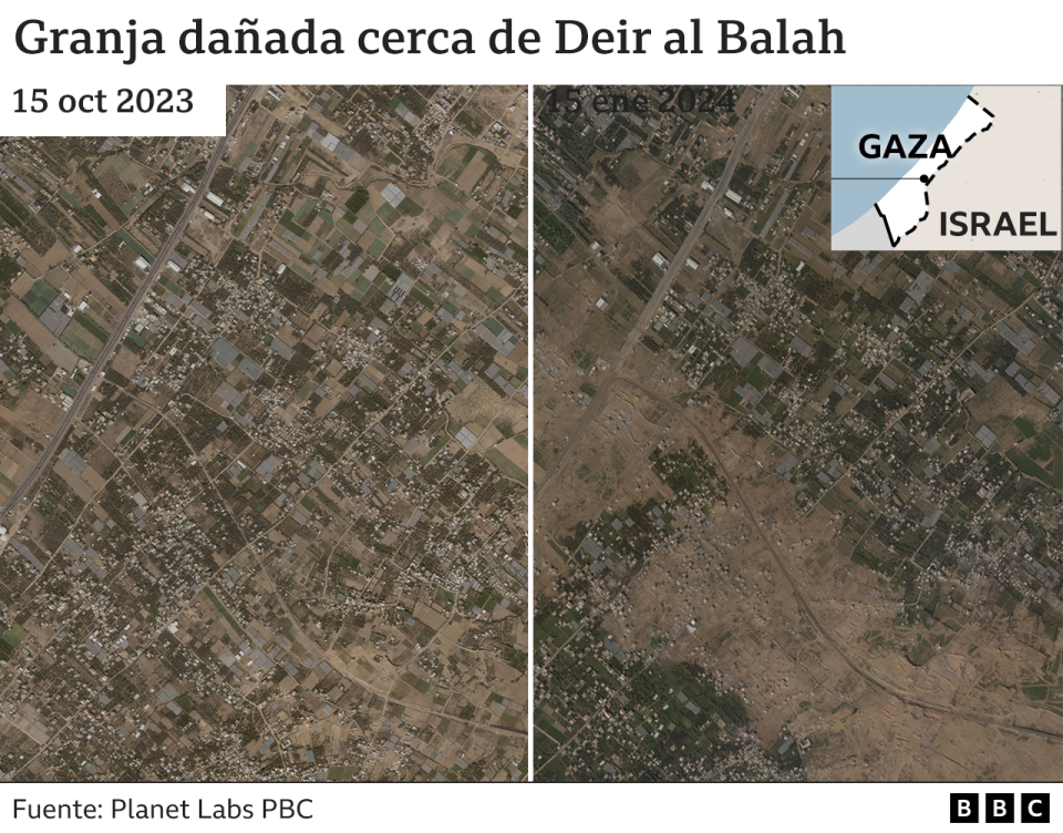 Imágenes satelitales de zonas agrarias