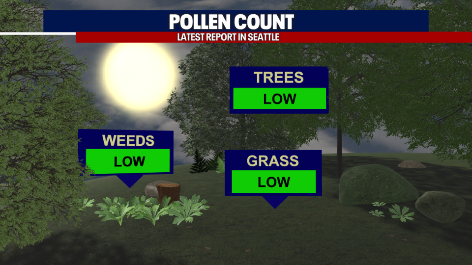 <div>Pollen counts will increase heading into the weekend around the Puget Sound area.</div> <strong>(FOX 13 Seattle)</strong>