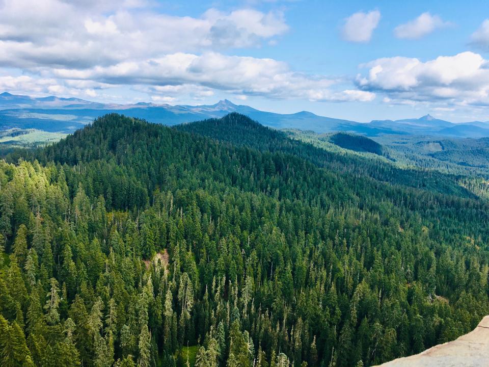 View from Scar Mountain on the Old Cascades Loop.