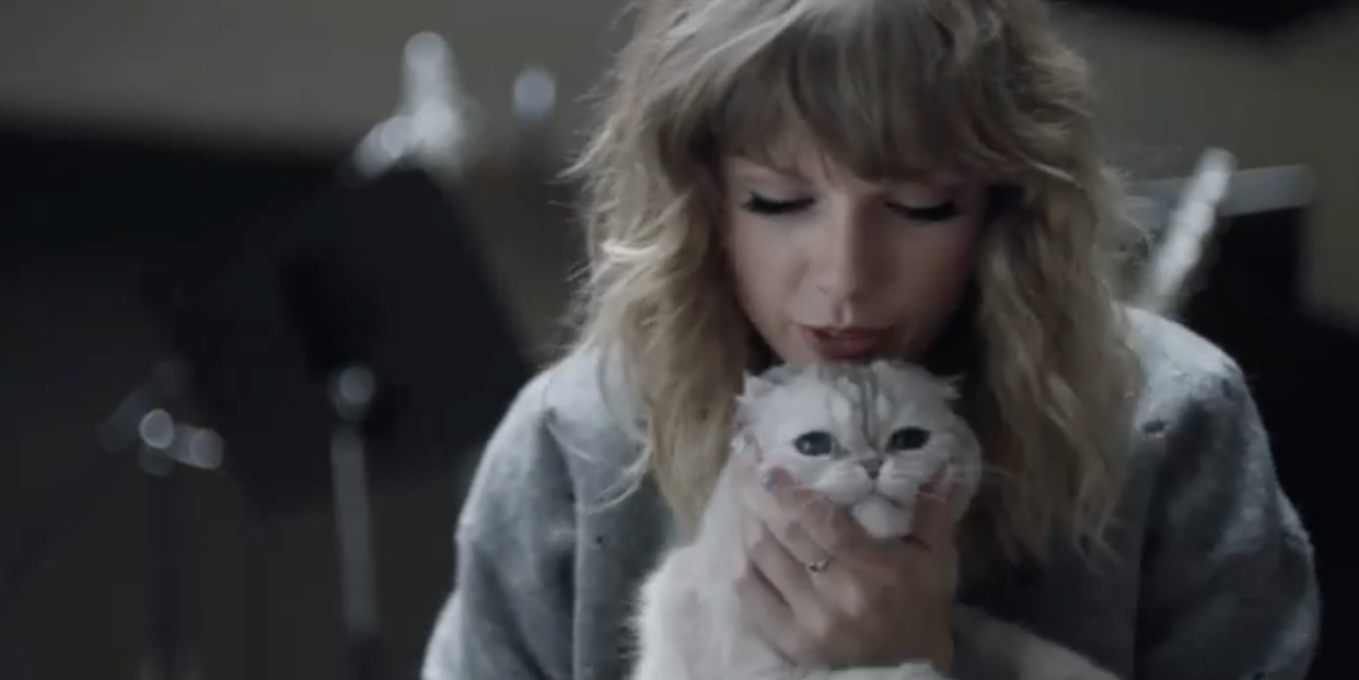 taylor swift's cat's net worth is $97 million