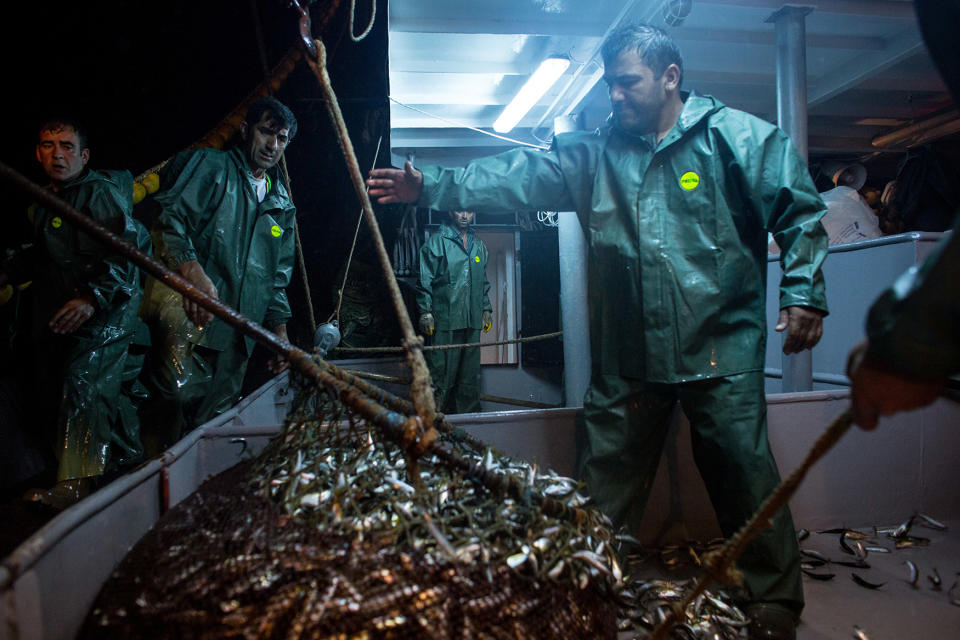 Opening of fishing season In Turkey