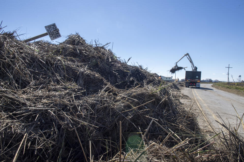 Terrebonne Parish solid waste crews remove marsh grass that washed across La. 56 in Cocodrie, La., during Hurricane Zeta, as residents slowly return to their homes and fishing camps to assess the damage on Thursday, Oct. 29, 2020. (Chris Granger/The Advocate via AP)