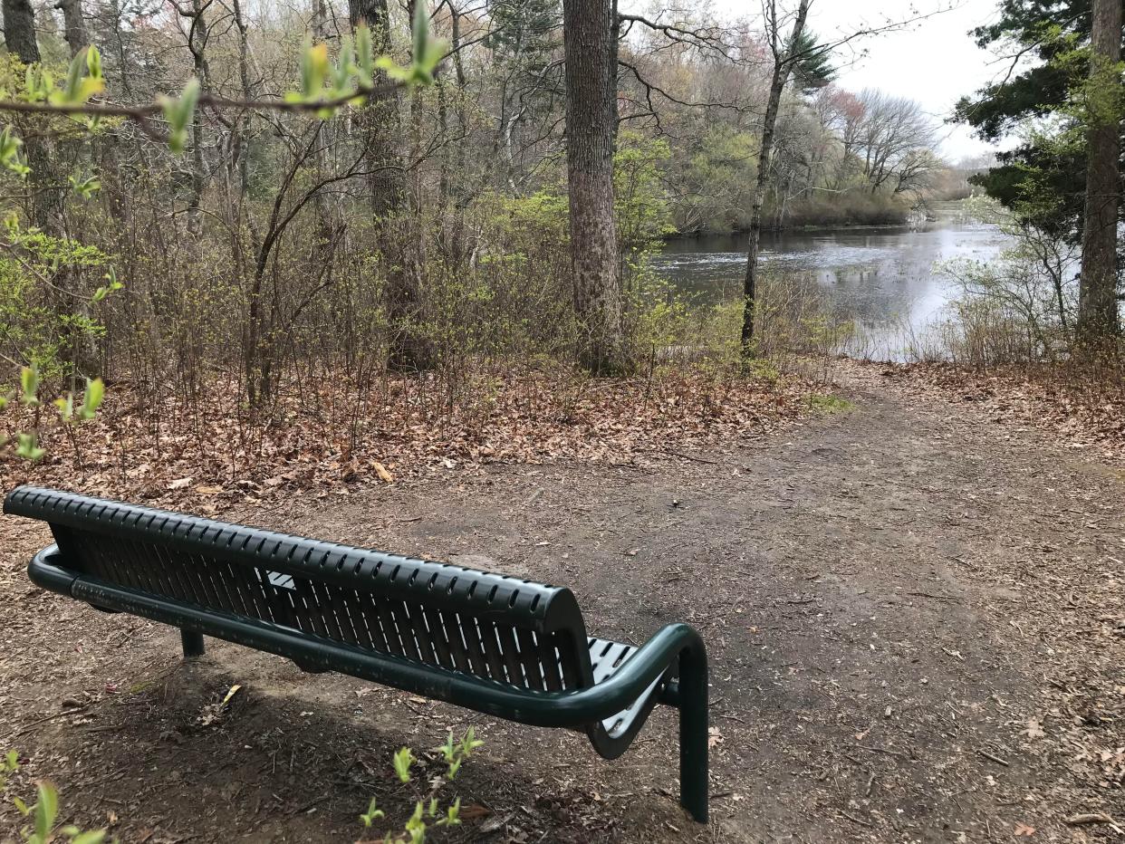 A sitting bench off a side trail from the yellow-blazed path offers a good look at the Pawtuxet River.