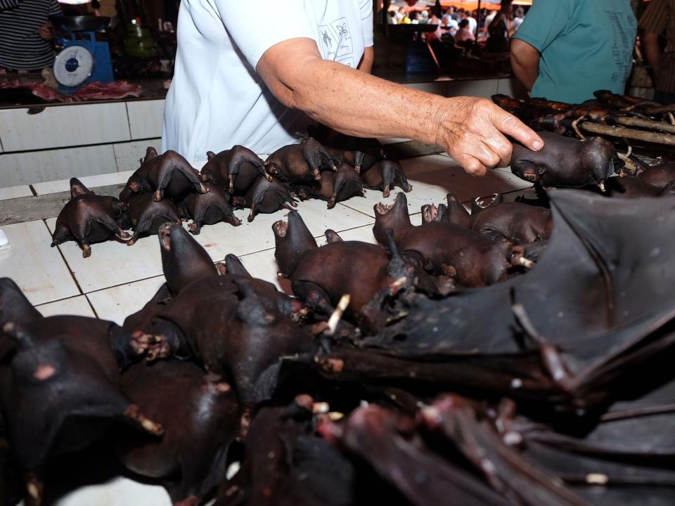 bats indonesia wet market 2020