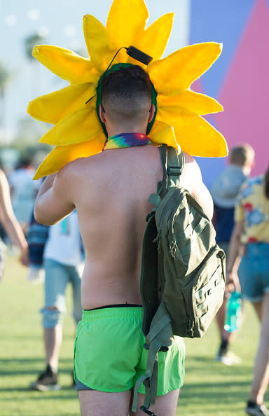 Un autre rayon de soleil dans le désert