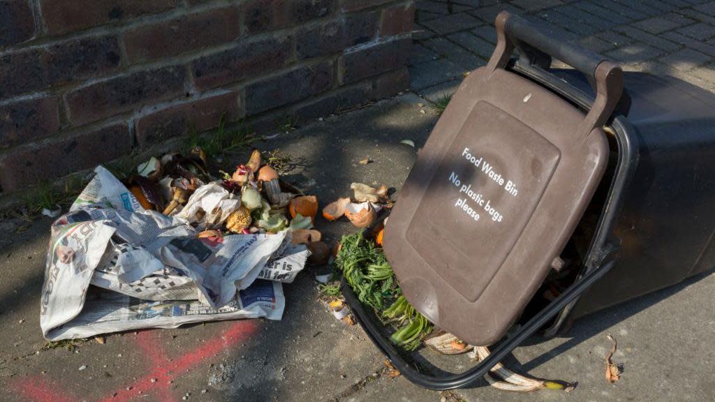 A brown lidded food waste bin lies on its side on the pavement with food waste spilling out 