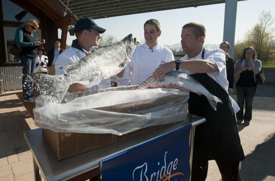 Bill Green, at left, presents one of the season's first Copper River King Salmon to the Bridge Restaurant partners Patrick Hoogerhyde, center and Al Levinsohn Friday, May 18, 2012 in Anchorage, Alaska. The 30-pound king, along with a seven-pound sockeye were flown from the fishing grounds of Cordova, Alaska. (AP Photo/Michael Dinneen)