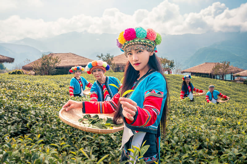 嘉縣府拍攝鄒族形象影片（2） 為推廣嘉義原住民文化，縣府文化觀光局製作鄒族形 象影片，以電影拍攝手法記錄鄒族神話、文化、技藝 與精神，4月1日將正式播送。圖為鄒族姑娘在阿里山 區採茶。 （嘉義縣文觀局提供） 中央社記者蔡智明傳真  113年3月27日 