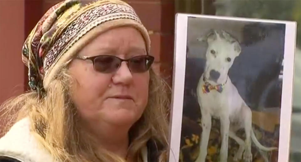 Dog owner Tracy Kenwery (pictured) has spoken of her heartbreak upon discovering that her Bull Arab Great Dane cross resue dog Amigo had been killed in a case of animal cruelty.