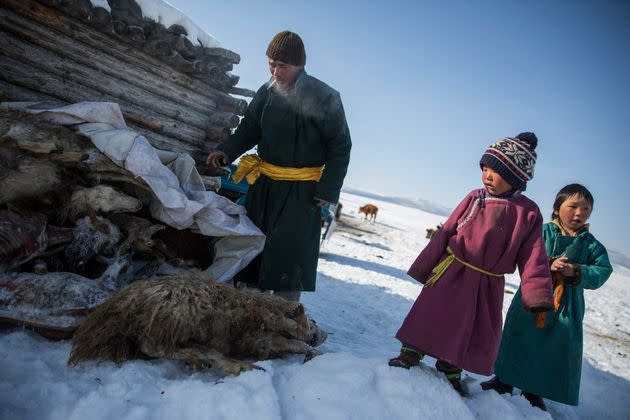 Davaadorj Duuji looks at a pile of his animals killed by the 