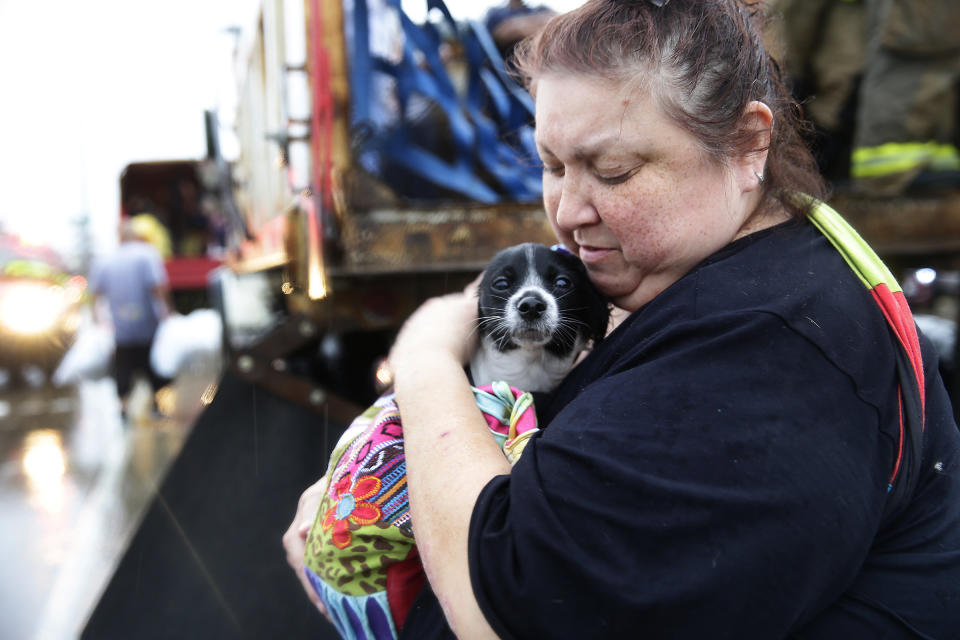 HOUSTON, TX - AUGUST 27 2017:  Elma Moreno comforts her dog, Simon as they are loaded on to a trucks after being evacuated from their flooded apartment. Tropical Storm Harvey is causing major flooding throughout Houston and Southeast Texas.  (Photo by Robert Gauthier/Los Angeles Times via Getty Images)