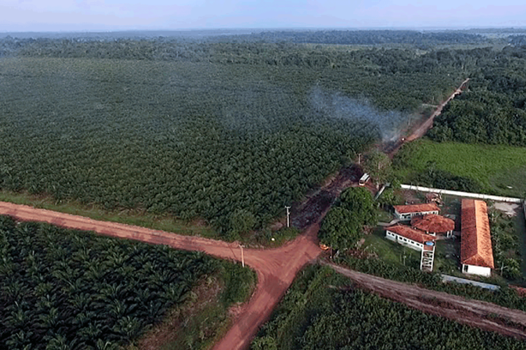 Vista aérea de una escuela completamente rodeada de plantaciones de palma aceitera en el municipio de Tomé-Açu, en el norteño estado amazónico de Pará, el 13 de noviembre de 2019. Imagen de Wilson Paz para Mongabay.