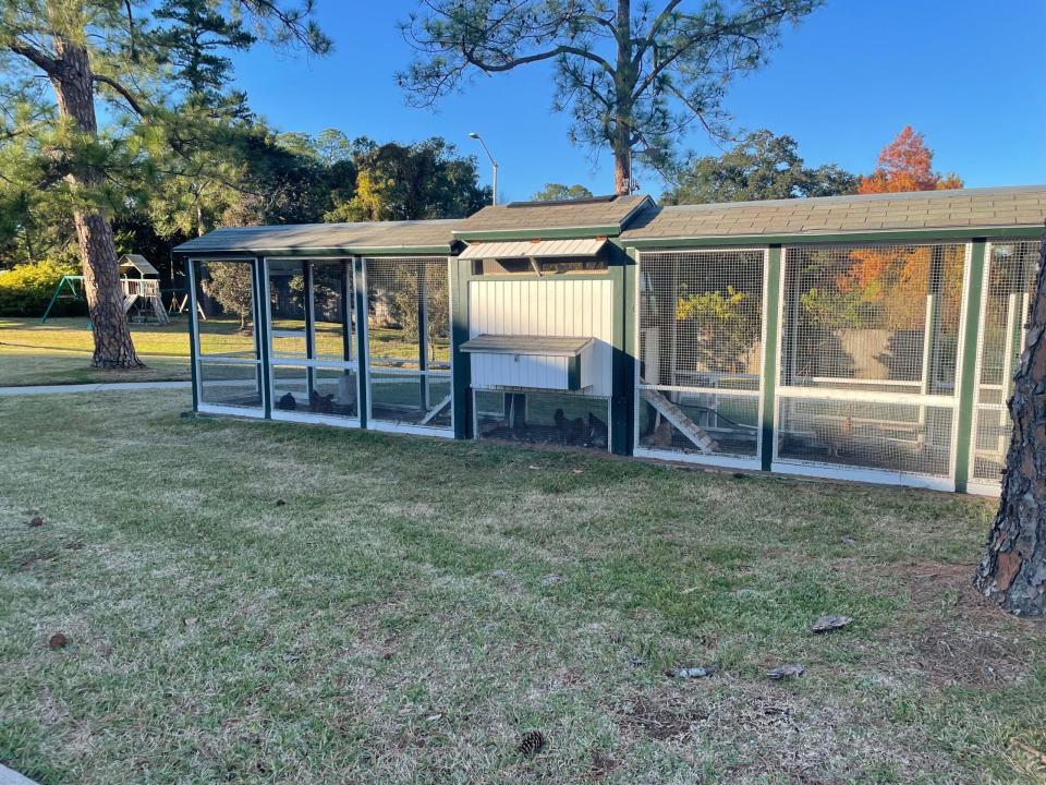 Gov. John Bel Edwards’ chicken coop at the Governor’s Mansion.