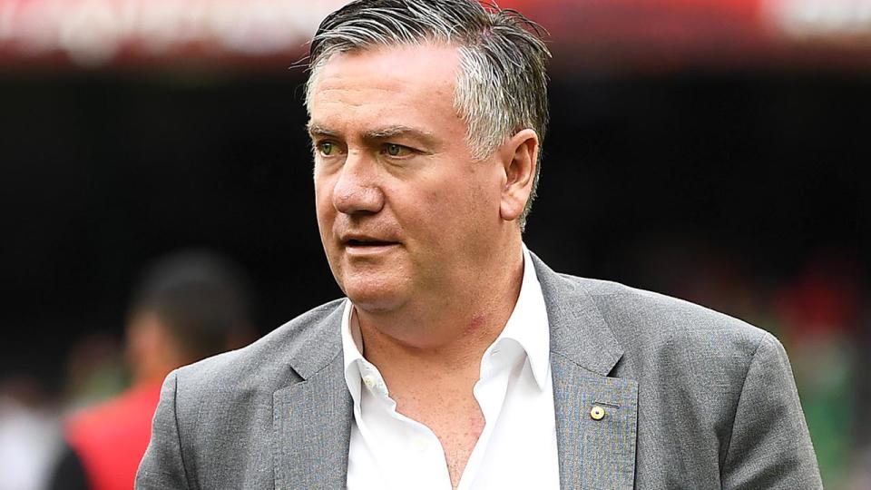 Eddie McGuire, pictured here during a Big Bash League match in 2019. 